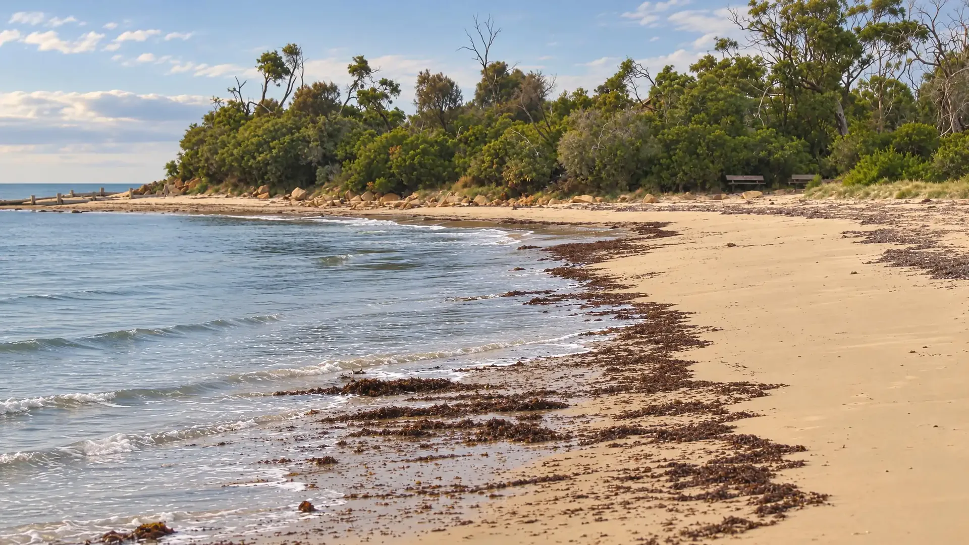 Beach curve at Balnarring Beach.